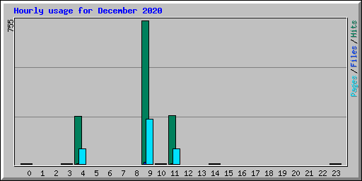 Hourly usage for December 2020