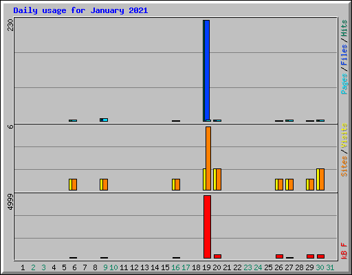 Daily usage for January 2021