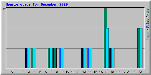 Hourly usage for December 2020