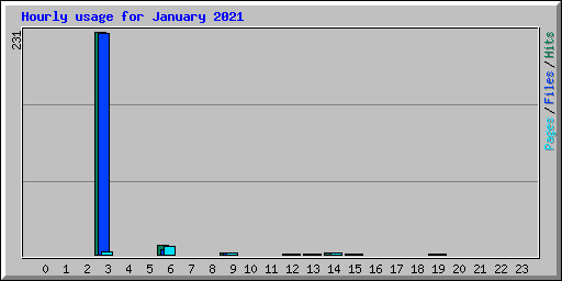 Hourly usage for January 2021