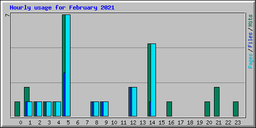 Hourly usage for February 2021