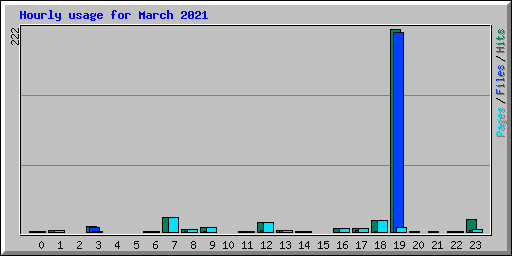 Hourly usage for March 2021