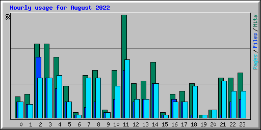Hourly usage for August 2022