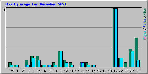 Hourly usage for December 2021