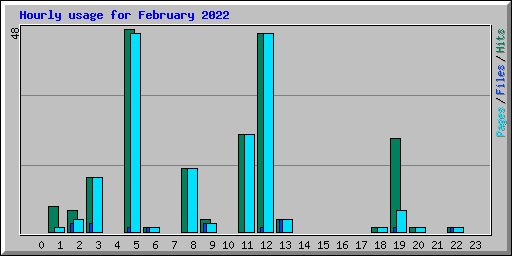 Hourly usage for February 2022