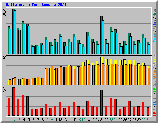 Daily usage for January 2021