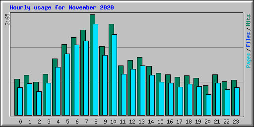 Hourly usage for November 2020
