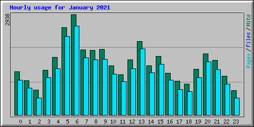 Hourly usage for January 2021