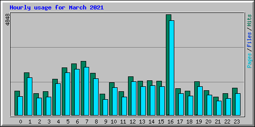Hourly usage for March 2021