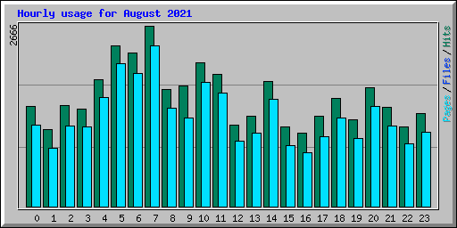 Hourly usage for August 2021