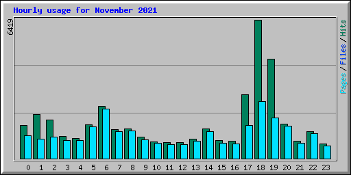 Hourly usage for November 2021