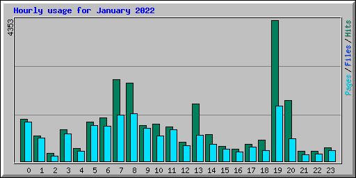 Hourly usage for January 2022
