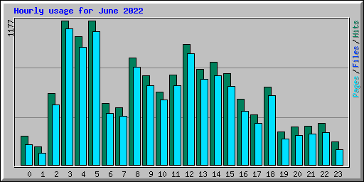 Hourly usage for June 2022