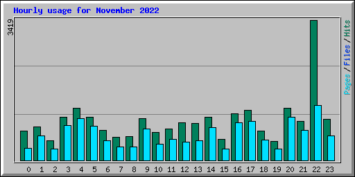 Hourly usage for November 2022